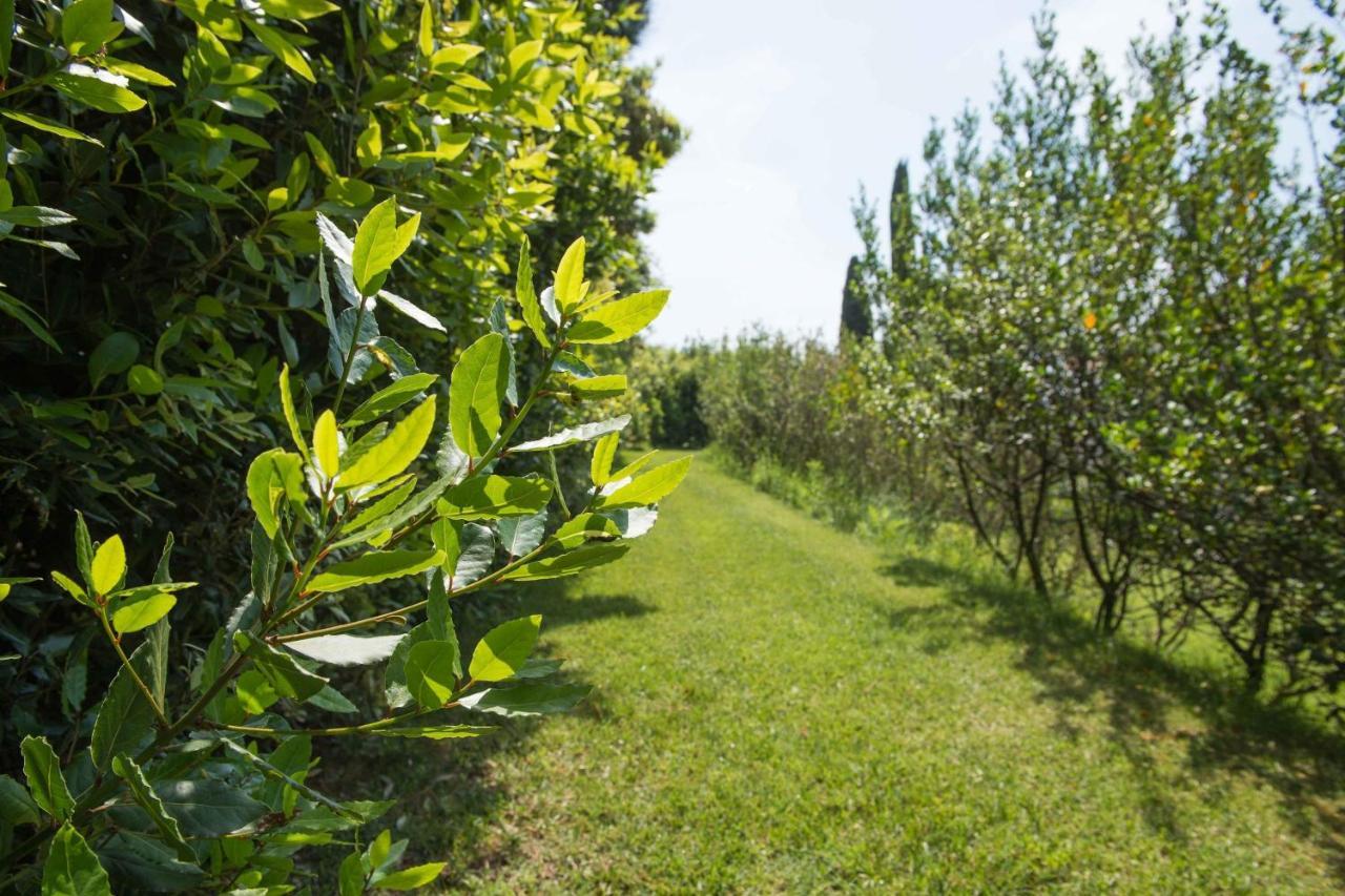 Il Casale Di Giulia Appartement Sirolo Buitenkant foto